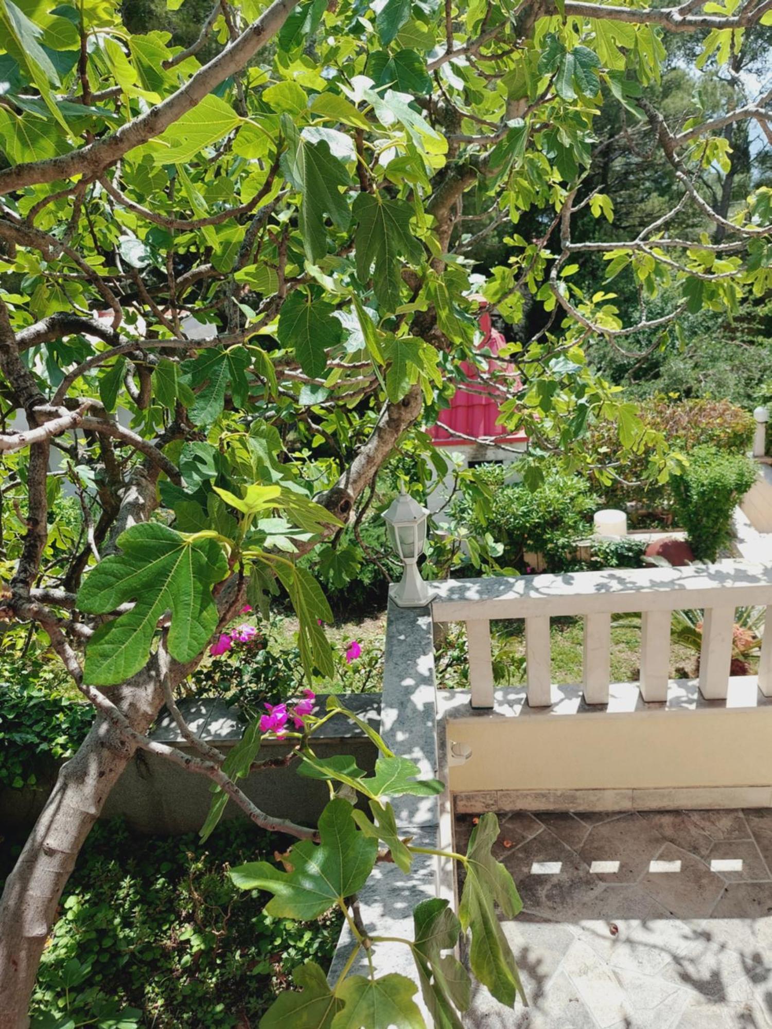 Villa Rosso Baška Voda Szoba fotó